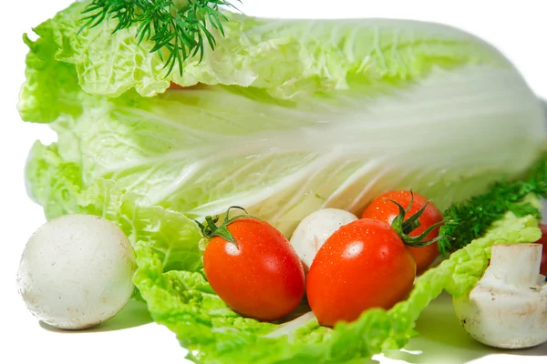 Soup set of vegetables, vegetables on a white background — Stock Photo, Image