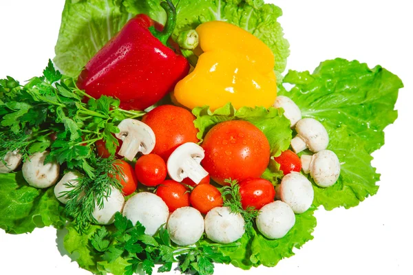 Soup set of vegetables, vegetables on a white background — Stock Photo, Image