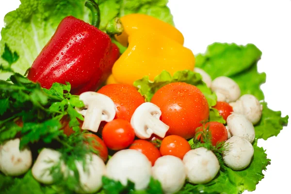 Soup set of vegetables, vegetables on a white background — Stock Photo, Image