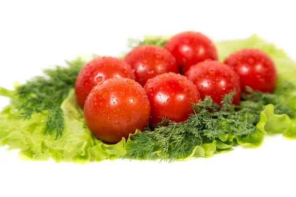 Tomatoes lying on lettuce leaf — Stock Photo, Image