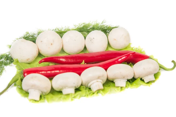 Mushrooms and chili peppers on a green background — Stock Photo, Image