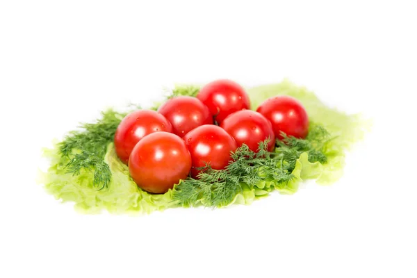 Tomaten op de groene — Stockfoto