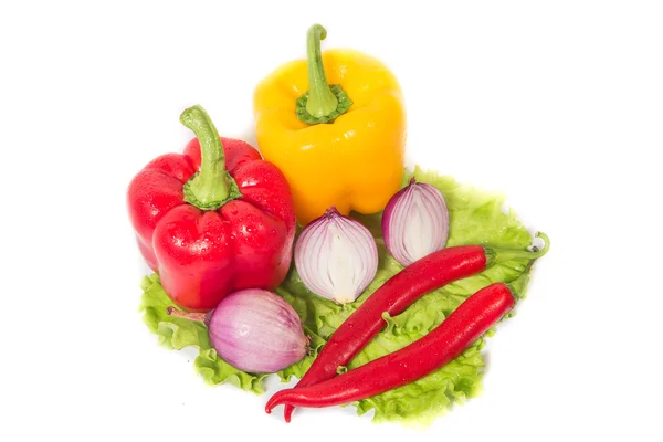 Hot spices, vegetables — Stock Photo, Image