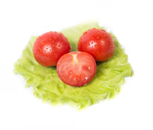 Chopped tomatoes lying on a sheet of green salad — Stock Photo, Image