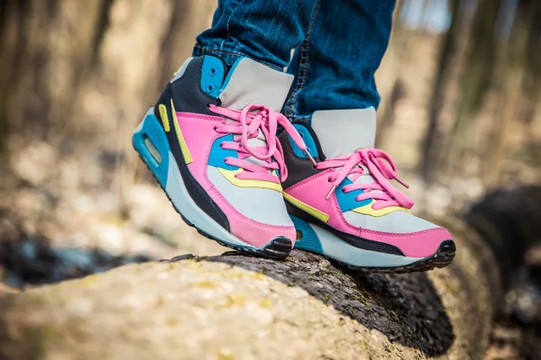 ormandaki bir ağaç üzerinde ayakkabı