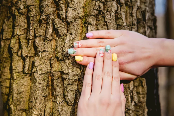 Manicure su uno sfondo di corteccia di albero — Foto Stock
