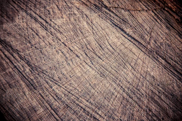 Textura, madeira seccional fundo de madeira — Fotografia de Stock