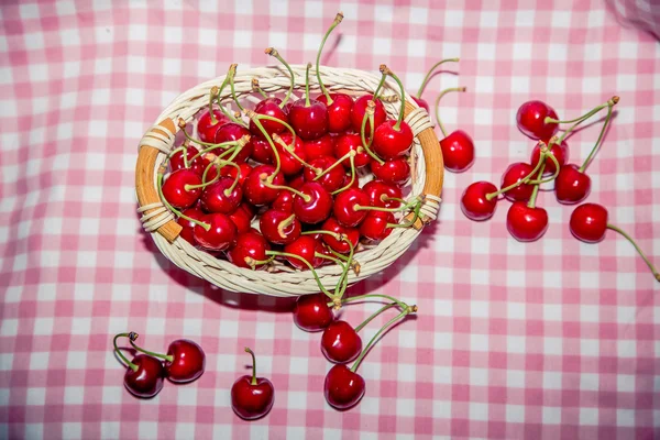 Sprig of cherries, ripe cherries — Stock fotografie