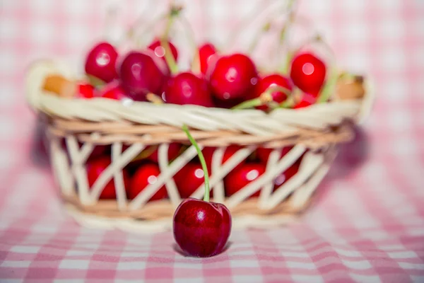 Sprig de cerejas, cerejas maduras — Fotografia de Stock