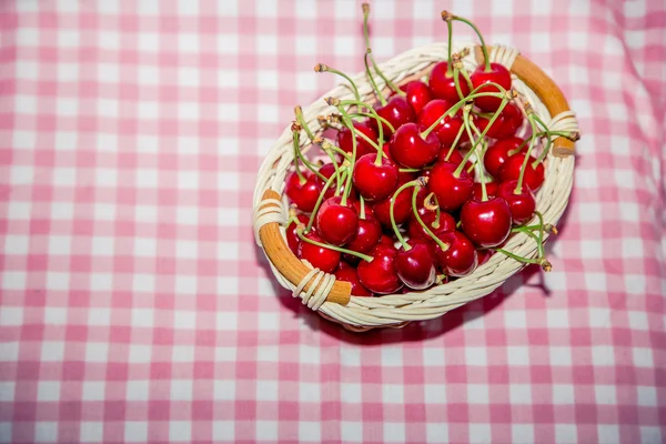 Sprig of cherries, ripe cherries — Stock fotografie