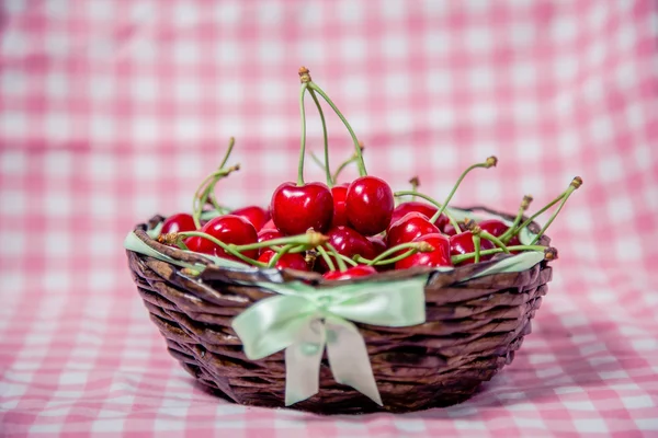 Sprig of cherries, ripe cherries — Stock fotografie