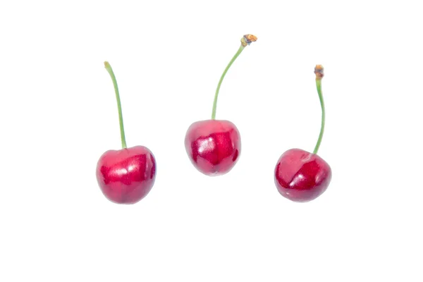 Sprig of cherries, ripe cherries — Stock Photo, Image