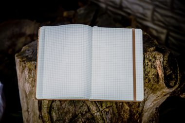 Bir defterde yazılı ahşap arka plan üzerinde net not defteri