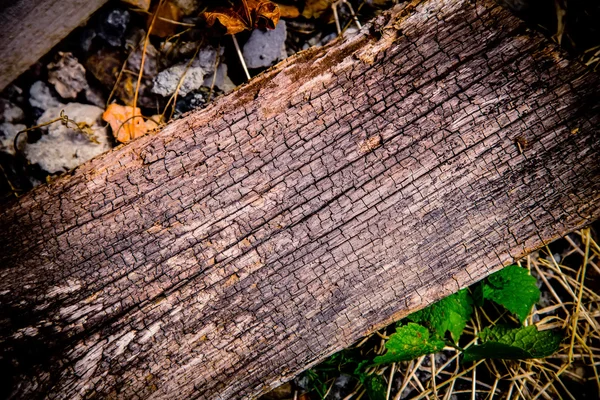 Деревянная доска, вывеска для надписей — стоковое фото