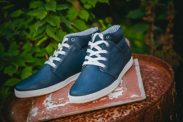 Erkek ayakkabıları, spor ayakkabı niteliğine