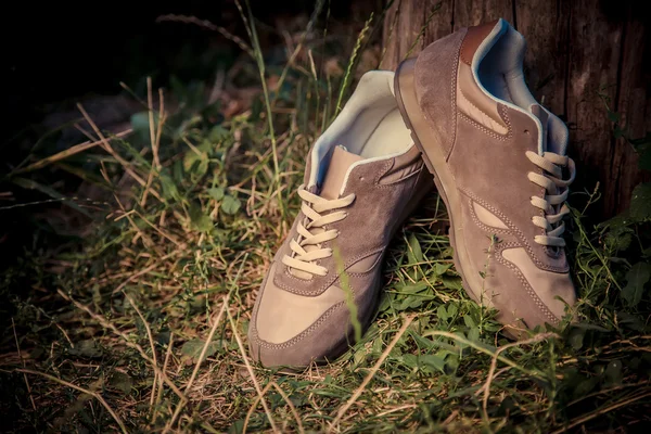Leckere Schuhe braun Wildlederschuhe — Stockfoto
