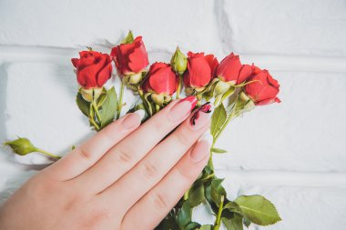 Çiçek, Güzellik Salonu bir arka plan üzerinde şık manikür