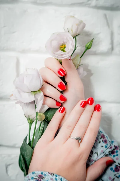 Manicure elegante rossa, salone di bellezza — Foto Stock
