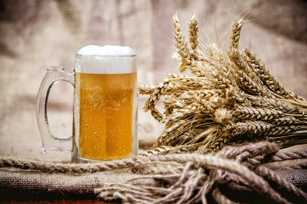 Světlé pšeničné pivo a spoustu pšenice — Stock fotografie