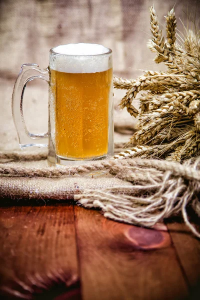 Light wheat beer and a bunch of wheat — Stock Photo, Image