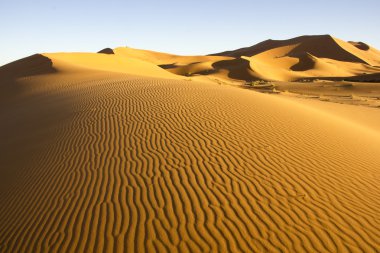 Rüzgar havaya satırlık Erg African