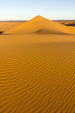 Erg African çöl Dune üzerinde
