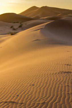 Sand Dunes Of Morocco clipart