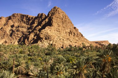 Tinghir Oasis yükselen kaya