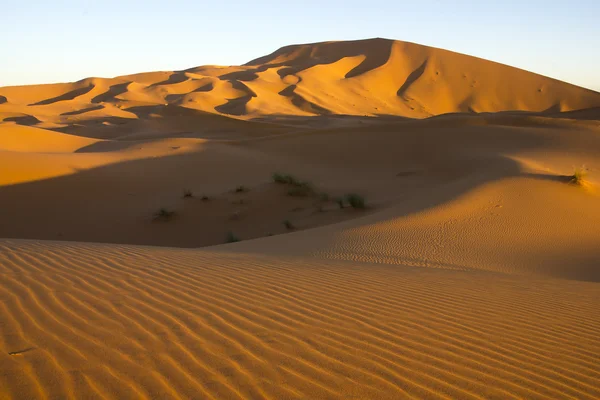 Pared de arena de Erg Chebbi — Foto de Stock