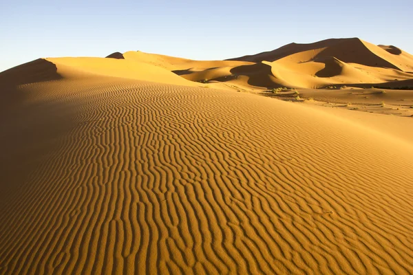 Wind-blown Lines Of Erg Chebbi — Stock Photo, Image