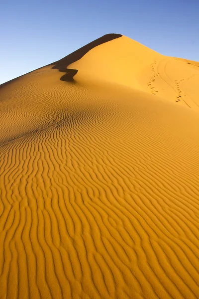 Peak Of Sand Mountain In Saharan Erg Chebbi — Stock Photo, Image