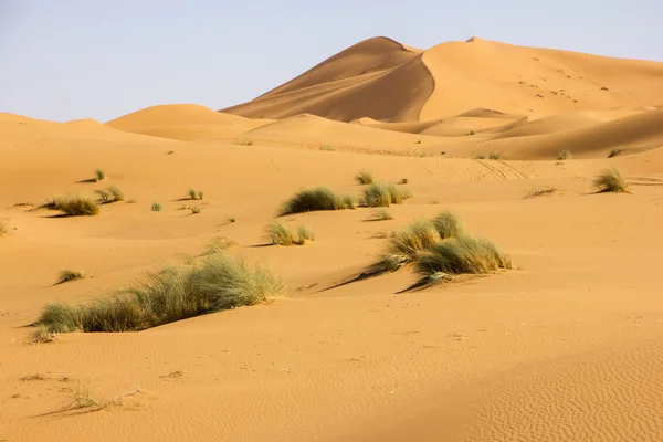 O Deserto de Erg Chebbi — Fotografia de Stock