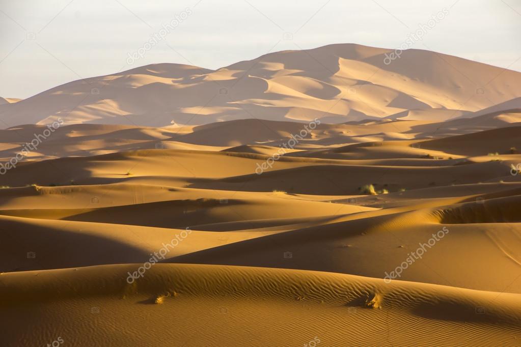 The Ocean Of Sand
