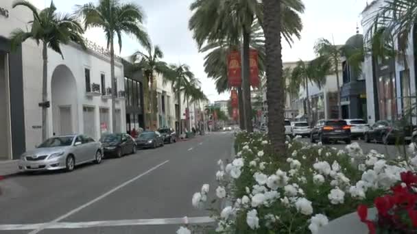 Beverly Hills flores Nublado dia ruas e calçada durante o bloqueio coronavírus. Beverly Hills Califórnia janeiro 2020 — Vídeo de Stock
