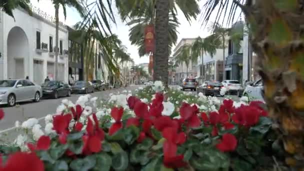 Beverly Hills fiori Nuvoloso giorno strade e marciapiedi durante coronavirus isolamento. Beverly Hills California gennaio 2020 — Video Stock