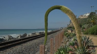 Pasifik kıyıları Orange County San Clemente Linda Lane Park California ABD