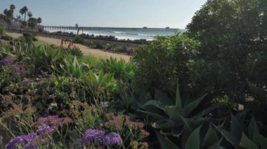 Pasifik kıyıları Orange County San Clemente Linda Lane Park California ABD