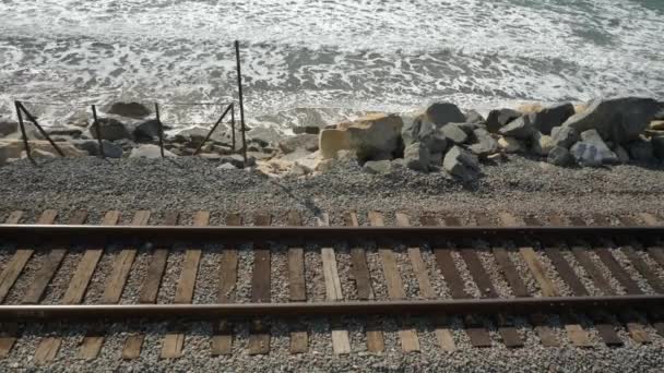 Okyanus kıyısındaki Orange County San Clemente Linda Lane Park Kaliforniya 'daki demiryolu pisti. — Stok video