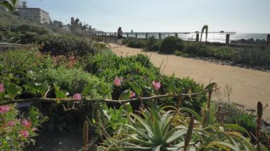 Yaşlı olgun bir kadın ağır çekimde yürüyor. Tren yolunun yakınındaki yolda mutlu. Güzel pasifik sahili, Orange County, San Clemente.