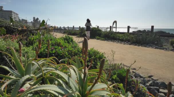 Senioren volwassen vrouw wandelen gelukkig op het spoor dicht bij spoorweg spoor prachtig landschap pacific kust Orange county San Clemente — Stockvideo