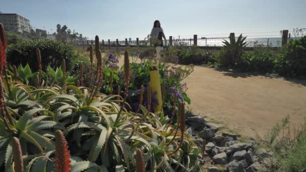 Mujer madura mayor caminando feliz en el sendero cerca de la vía férrea hermoso paisaje costa pacífica Condado de Orange San Clemente — Vídeos de Stock