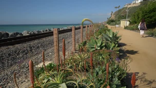 Senior donna matura a piedi felice al sentiero vicino alla ferrovia pista bellissimo paesaggio costa pacifica Orange County San Clemente — Video Stock