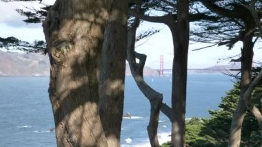 Meşhur kırmızı Golden Gate Köprüsü Gündüz vakti San Francisco Ağaçların arasından geçen bulutlu manzara