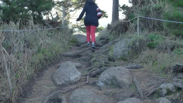 Kvinna på stig vid Piont Lobos natursköna landskap i Big Sur kusten av Stilla havet — Stockvideo