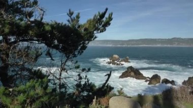 Pasifik Okyanusu 'nun Büyük Sur kıyılarının manzaralı Piont Lobos manzarası