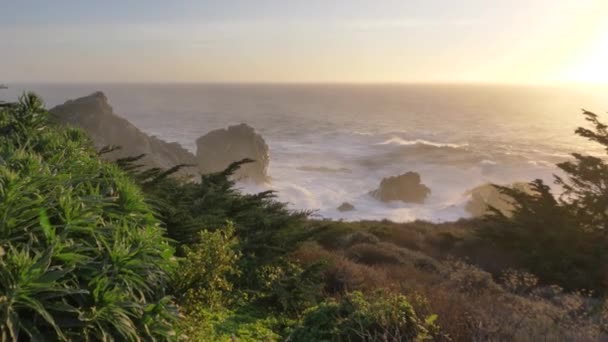 Naplemente festői Big Sur partján Csendes-óceán gyönyörű virágok és zöld növények hullámok a háttérben lassított felvétel — Stock videók
