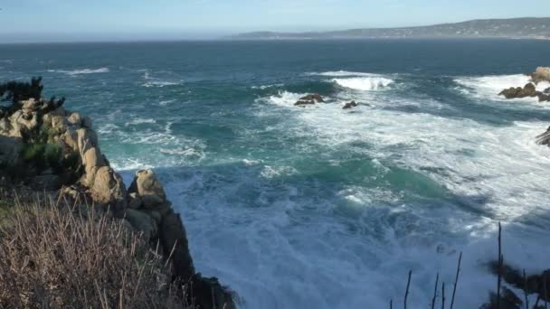 Piont Lobos festői tájai Big Sur partján a Csendes-óceán — Stock videók