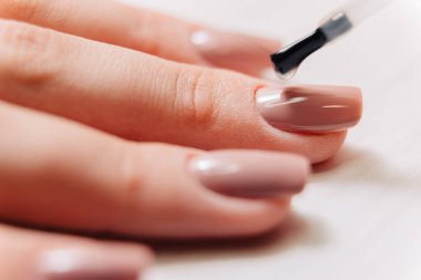 Manikür işlemi. Manikürcü oje sürüyor. Tırnak cilası..