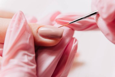 Manikür işlemi. Manikürcü oje sürüyor. Tırnak cilası..