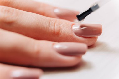 Manikür işlemi. Manikürcü oje sürüyor. Tırnak cilası..